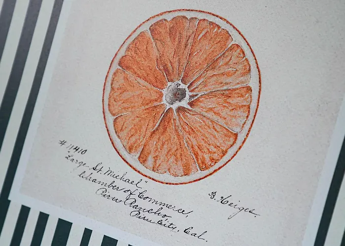 Alte Schule Klassenzimmer 1 2 Appartamento *